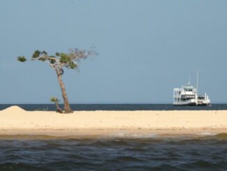 cropped-1RD_Santarem.jpg