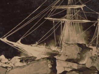 Francis Hurley, Antártica