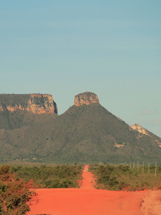 Destinos para conhecer a savana brasileira