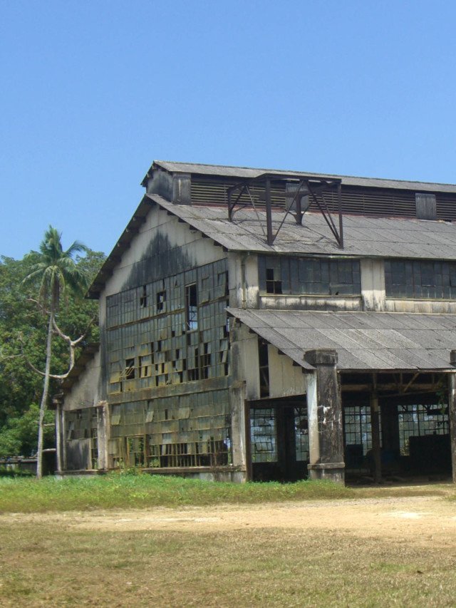 5 erros da Ford na Amazônia