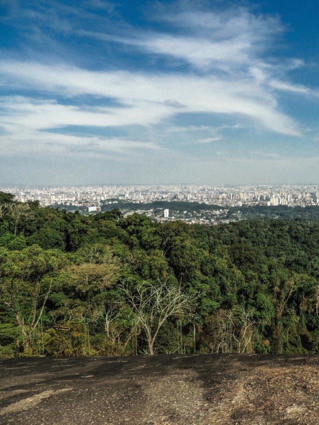 Concessionária assume gestão da Cantareira e do Horto Florestal