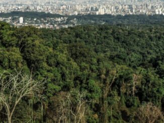Cantareira, São Paulo