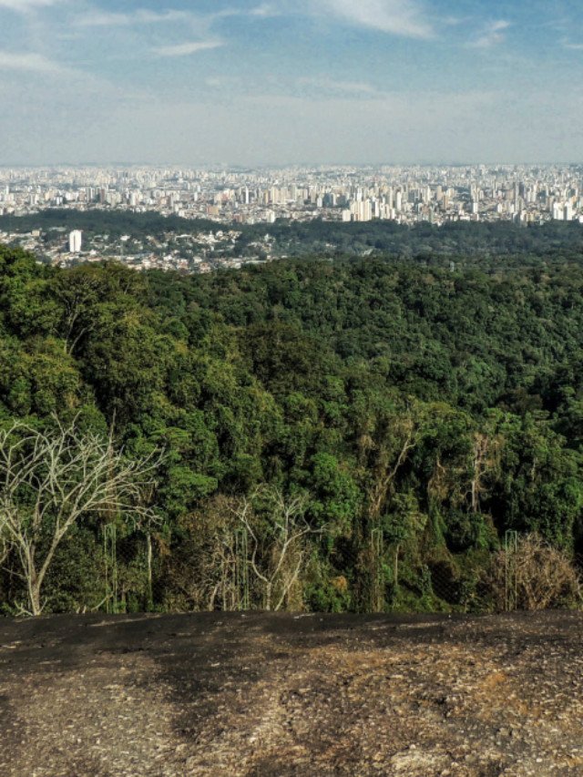 Trilhas na Floresta Cantareira, em SP