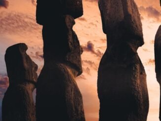 cropped-pexels-photo-3402313.jpeg