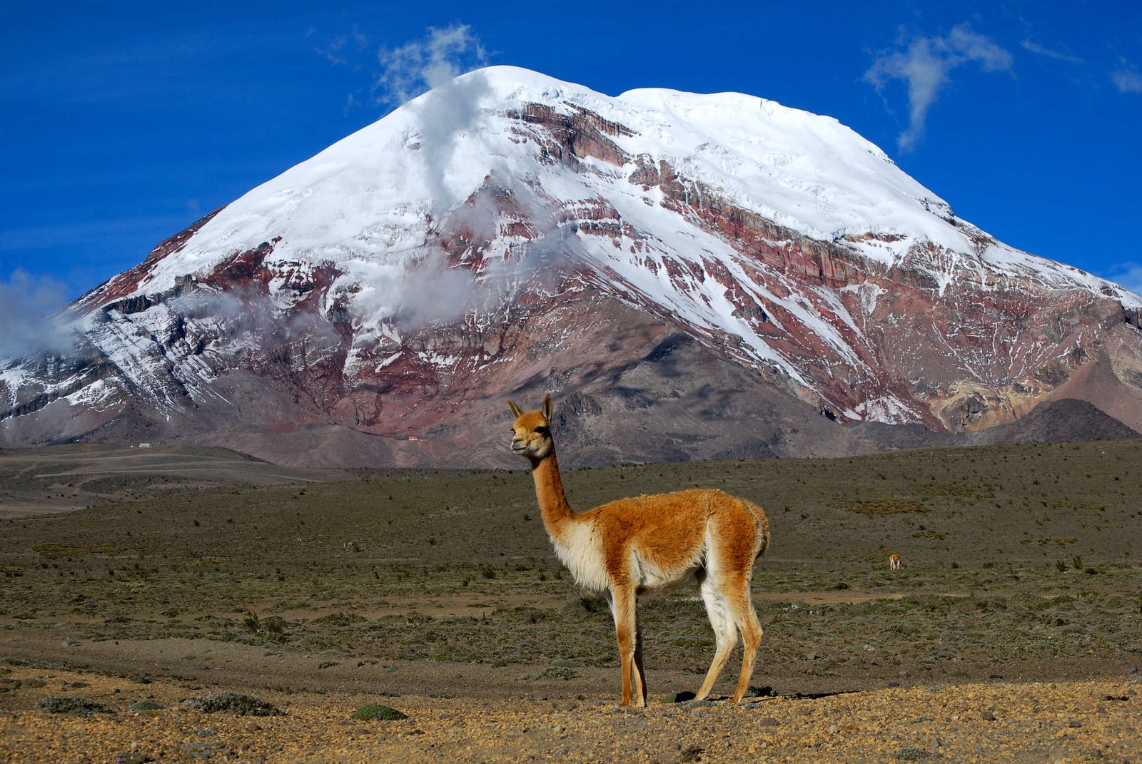 17rd_Chimborazo_David Torres