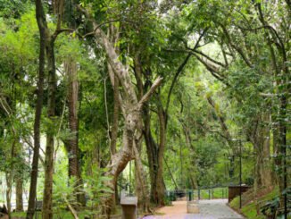 Parque Augusta
