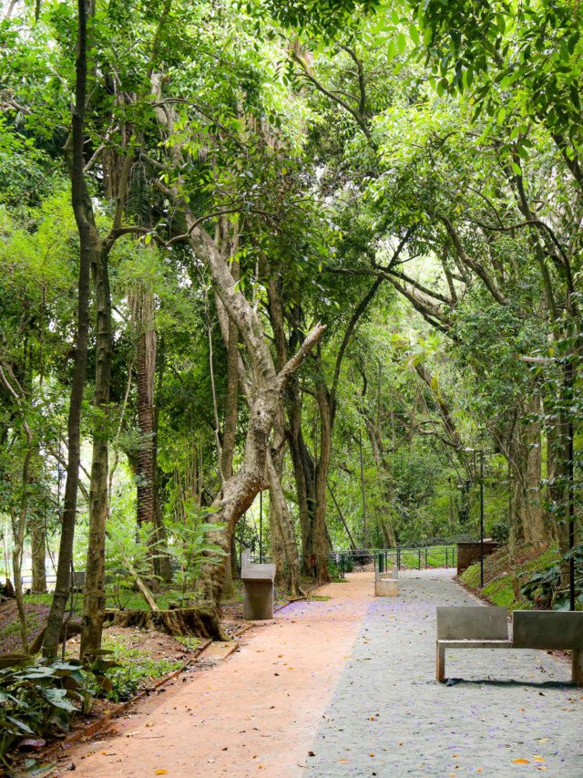 Parque Augusta atinge marca de 1 milhão de visitas