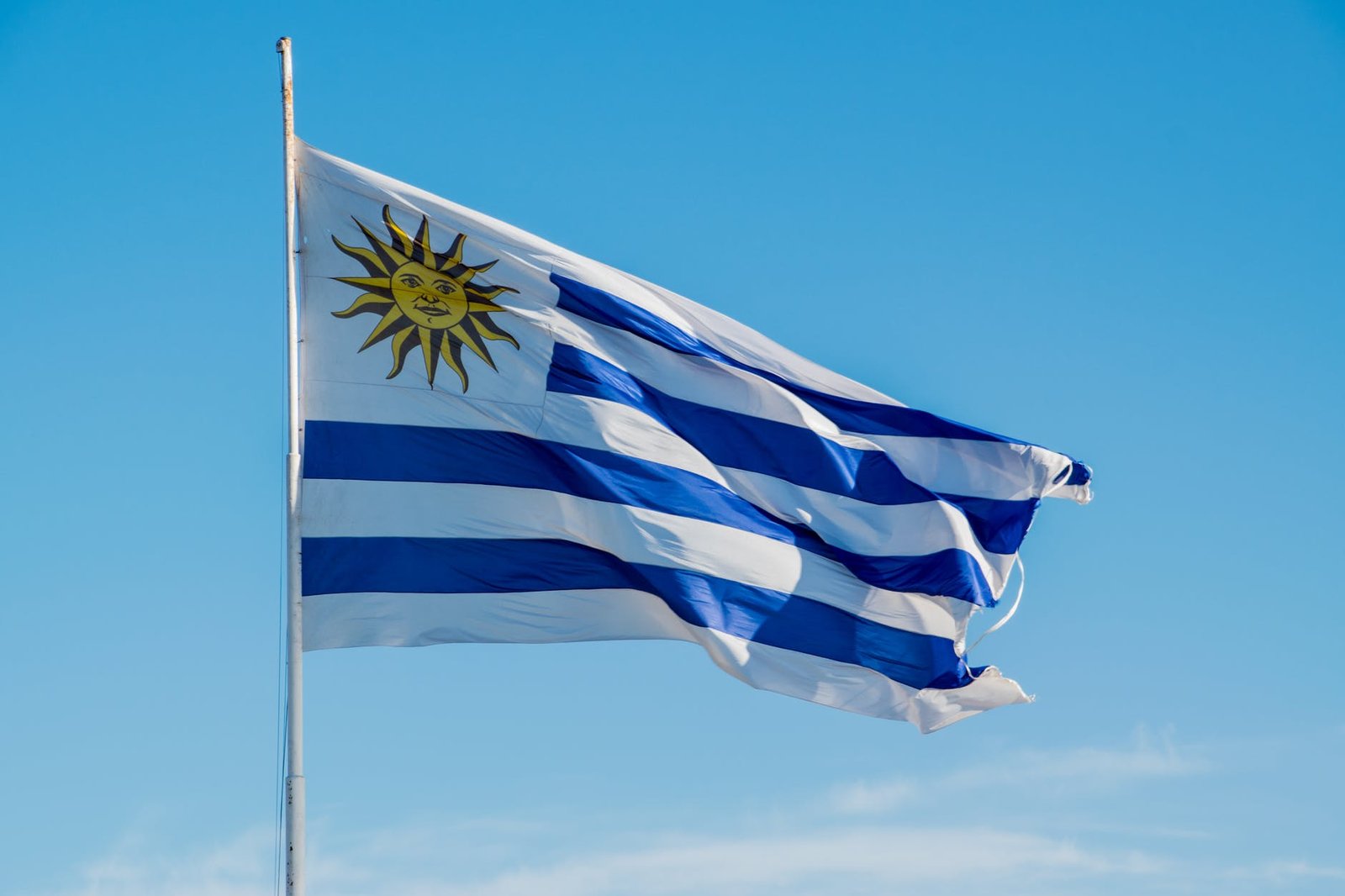 waving flag of uruguay