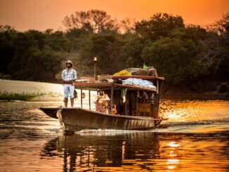 cropped-PANTANAL1-scaled-1.jpg