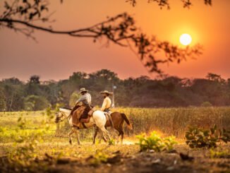 Pantanal
