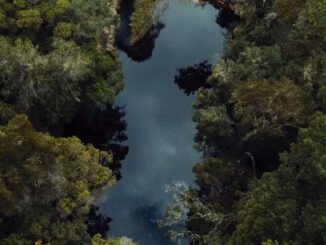 parque das neblinas2