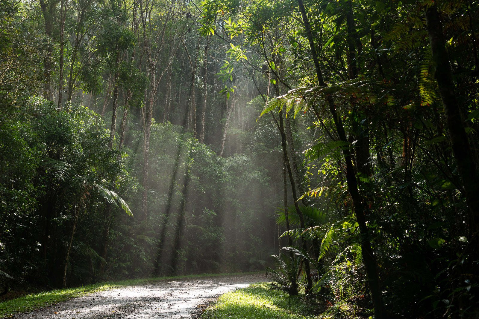 abre_parque das nelinas