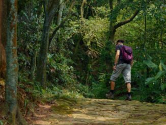 Serra do Mar, São Paulo, Caminhos do Mar