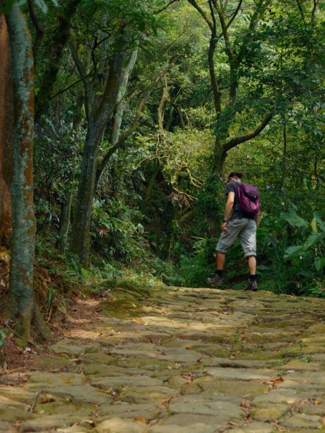 Parque Serra do Mar faz 45 anos: veja trilhas