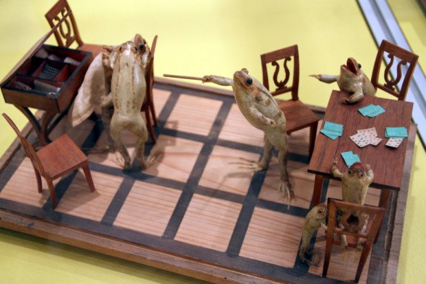 5 Museu do Sapo