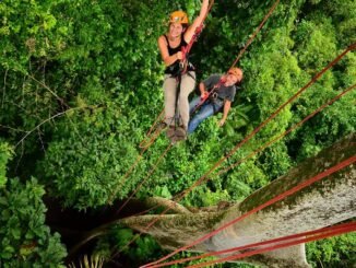 amazonia