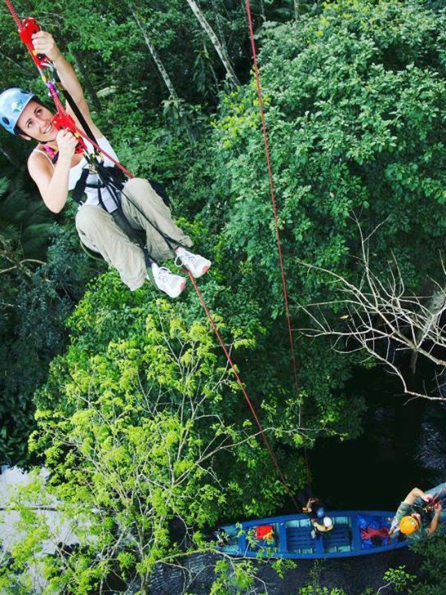 Hotel oferece escalada em árvores gigantes da Amazônia