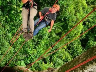 amazonia
