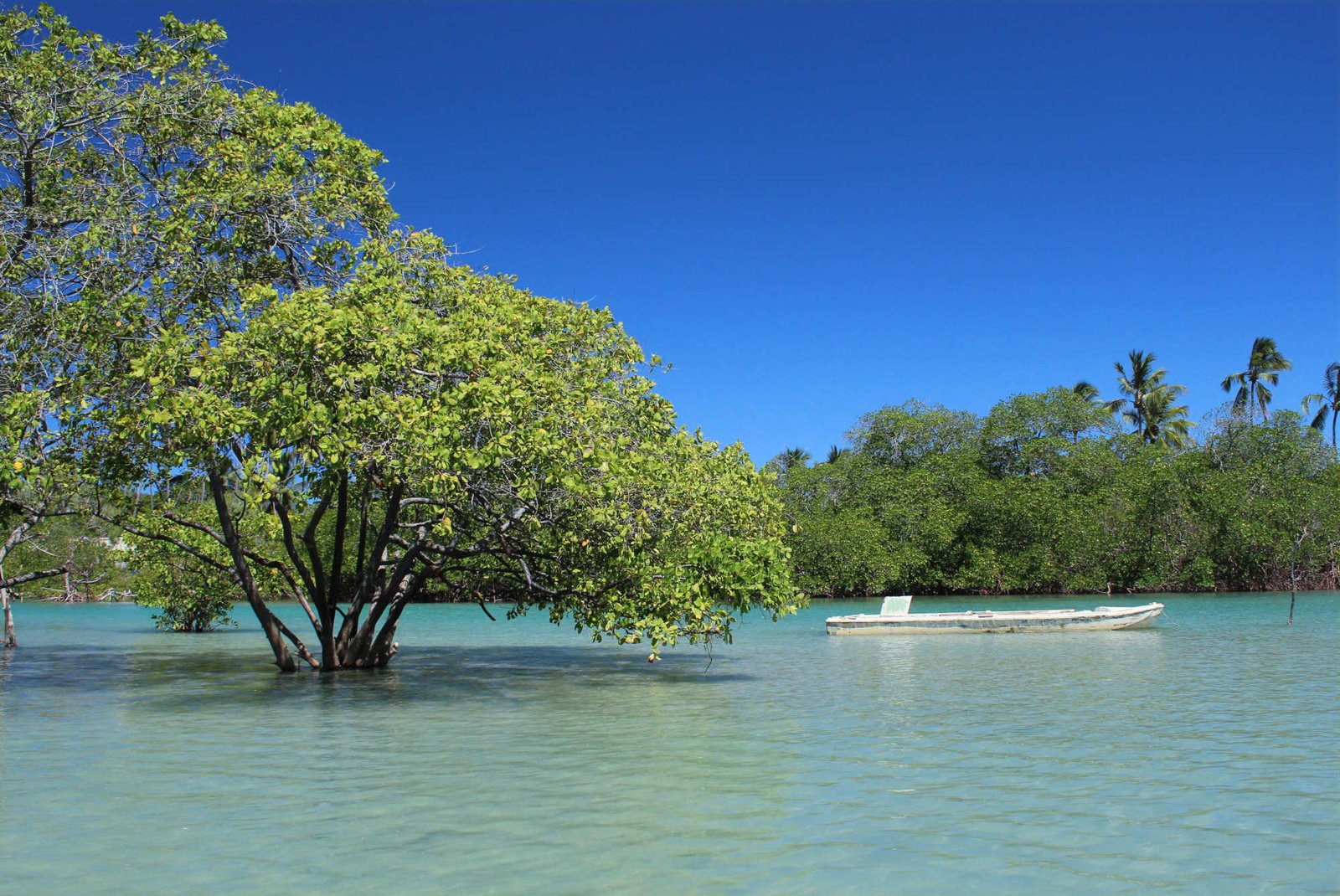 PONTAL DE MARACAÍPE