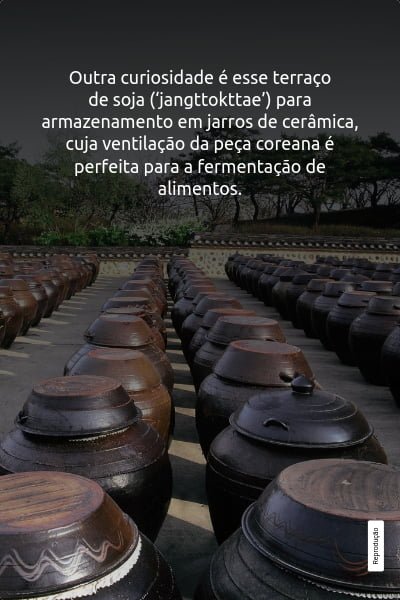 Réplica de avião de Santos Dumont sobrevoará o Rio
