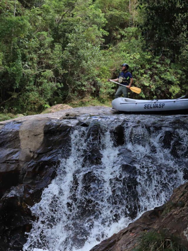 Selva SP, Marsilac, Parelheiros