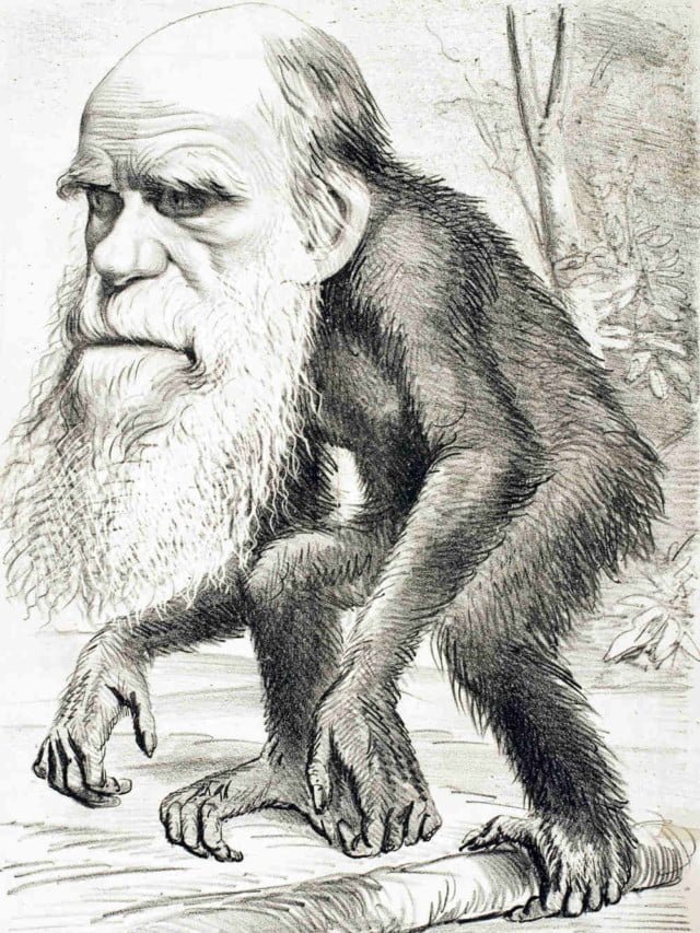 O dia em que Charles Darwin visitou o Brasil