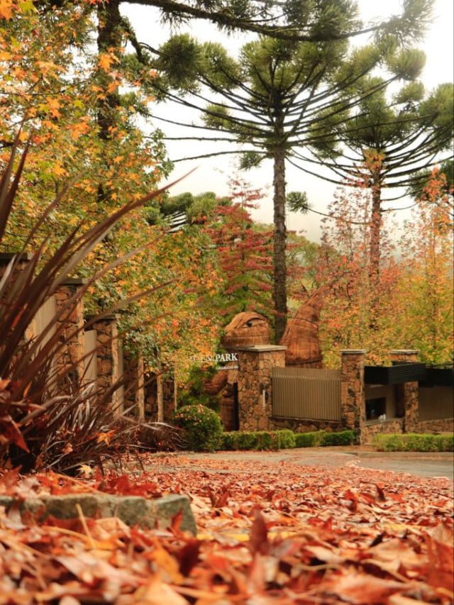 Conheça a nova atração de Gramado, na Serra Gaúcha
