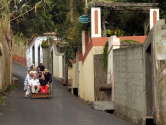 1rd_ilha da madeira