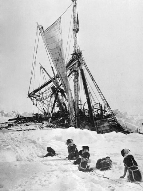 Antártica