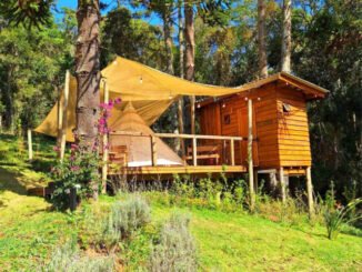 3rd_glamping_Cunha