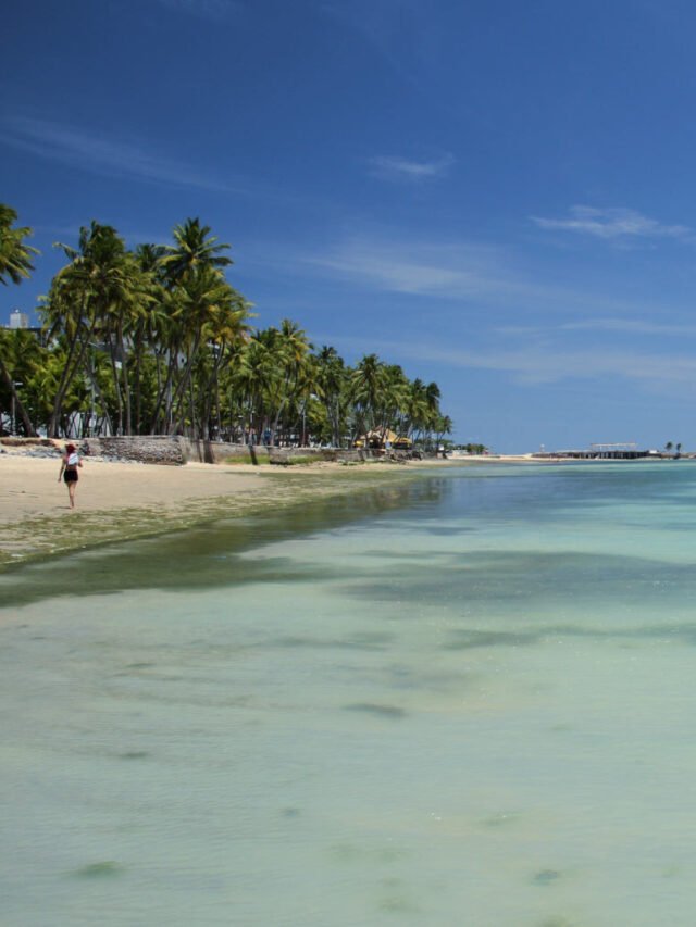 Praias de Maceió: veja opções na capital de Alagoas