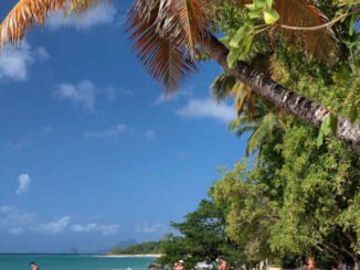 Martinica, Caribe