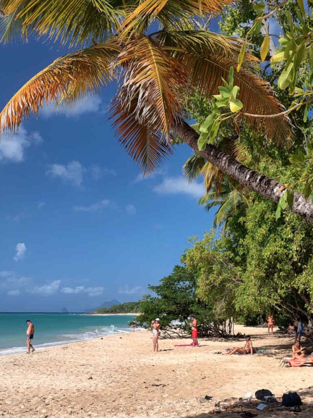 Como é o voo do Brasil para o Caribe pela Air France