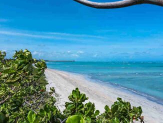 Praia do Patacho, Alagoas