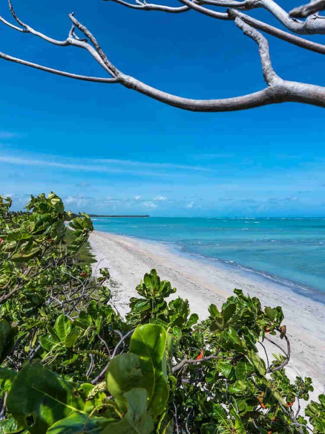 Praias do Brasil com selo Bandeira Azul