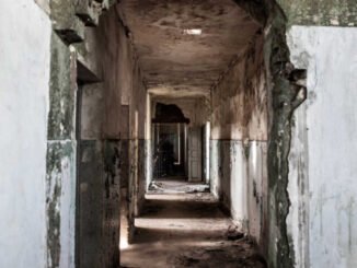 Holocausto Brasileiro, documentário, filme, Barbacena, Minas Gerais