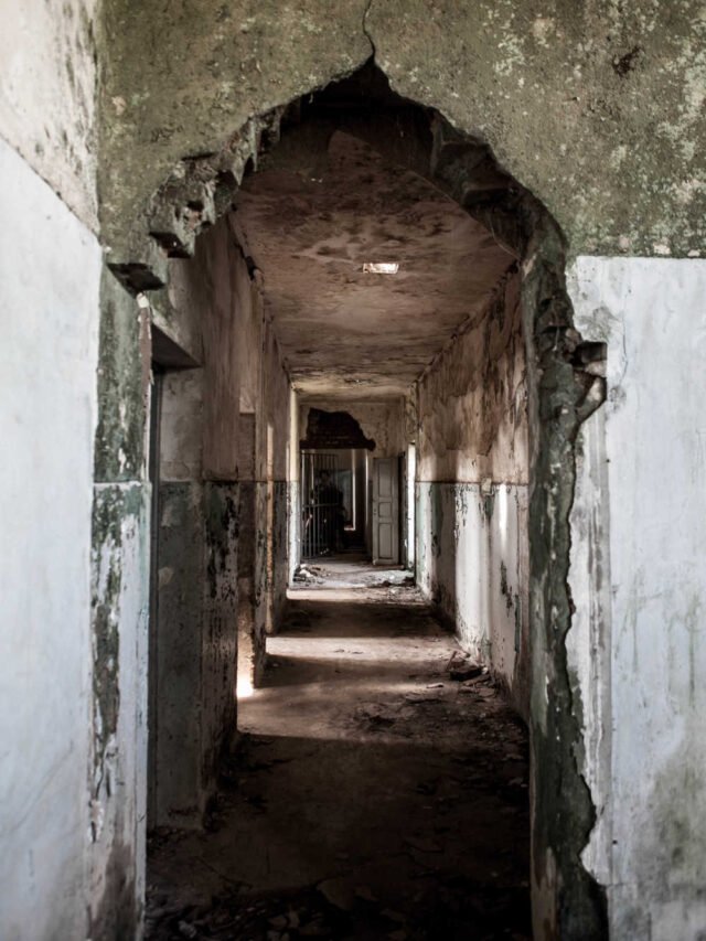 ‘Holocausto Brasileiro’ chega à Netflix