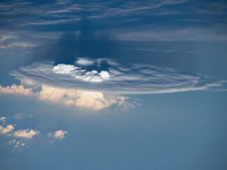 2015-2016 El Niño Provided ‘Natural Experiment’ on the Effects of Warming Seas