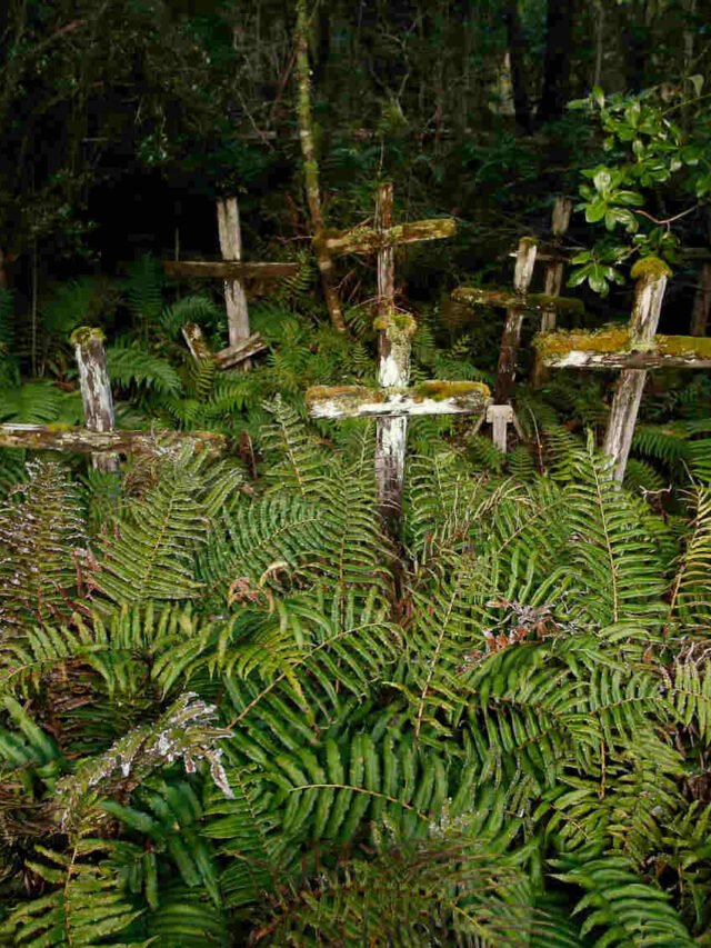 Vilarejo no Chile vive sobre passarelas e tem passado misterioso