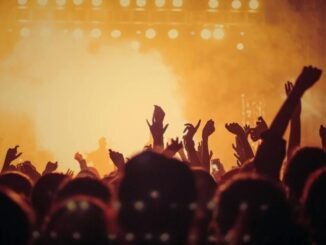 people at concert