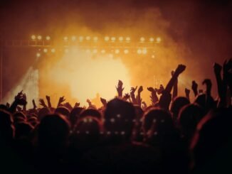 people at concert