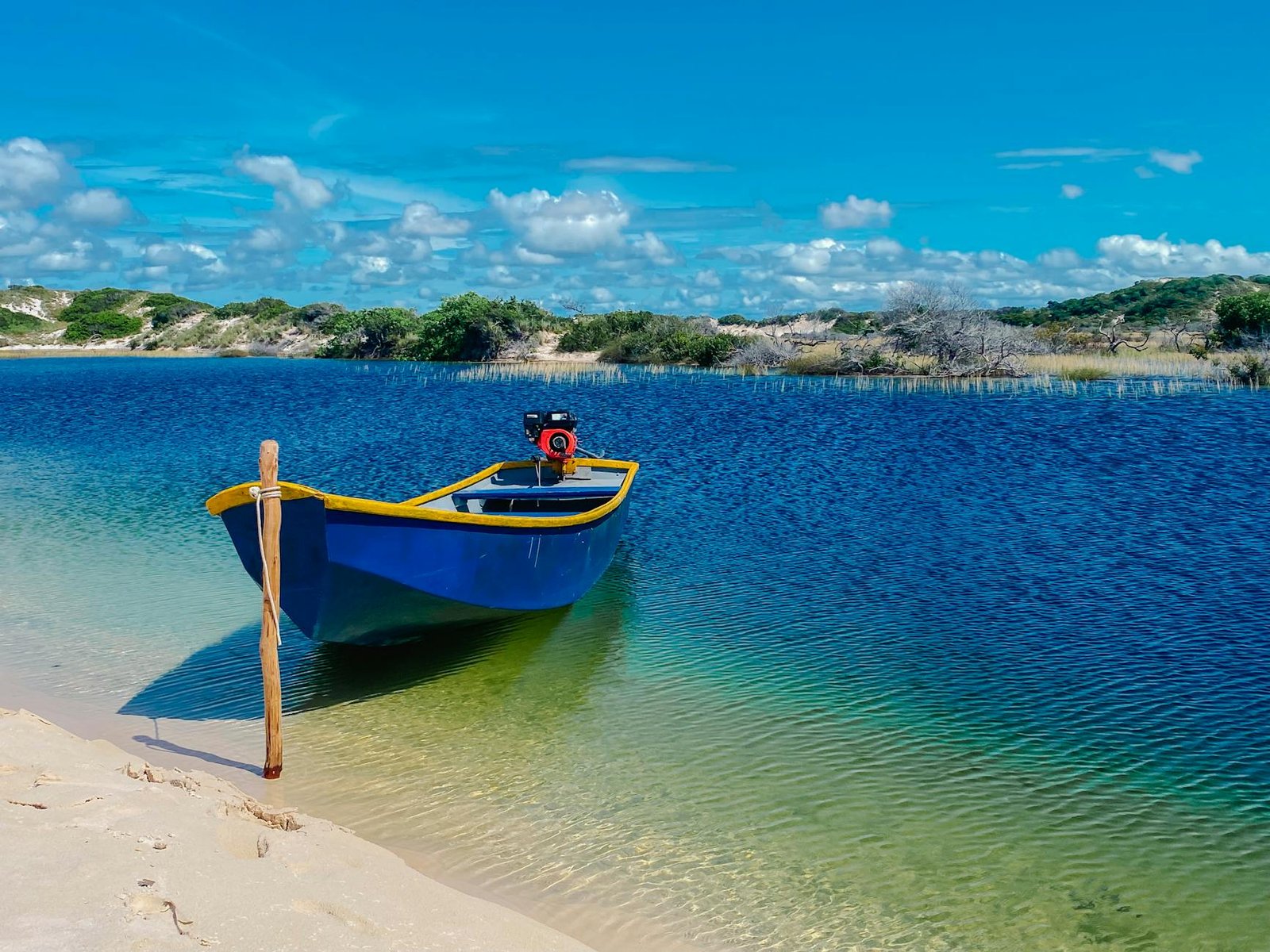 a boat on the river