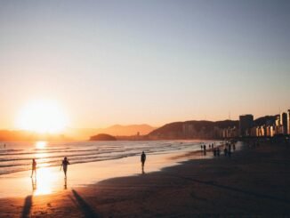 people walking on seashore during golden hour